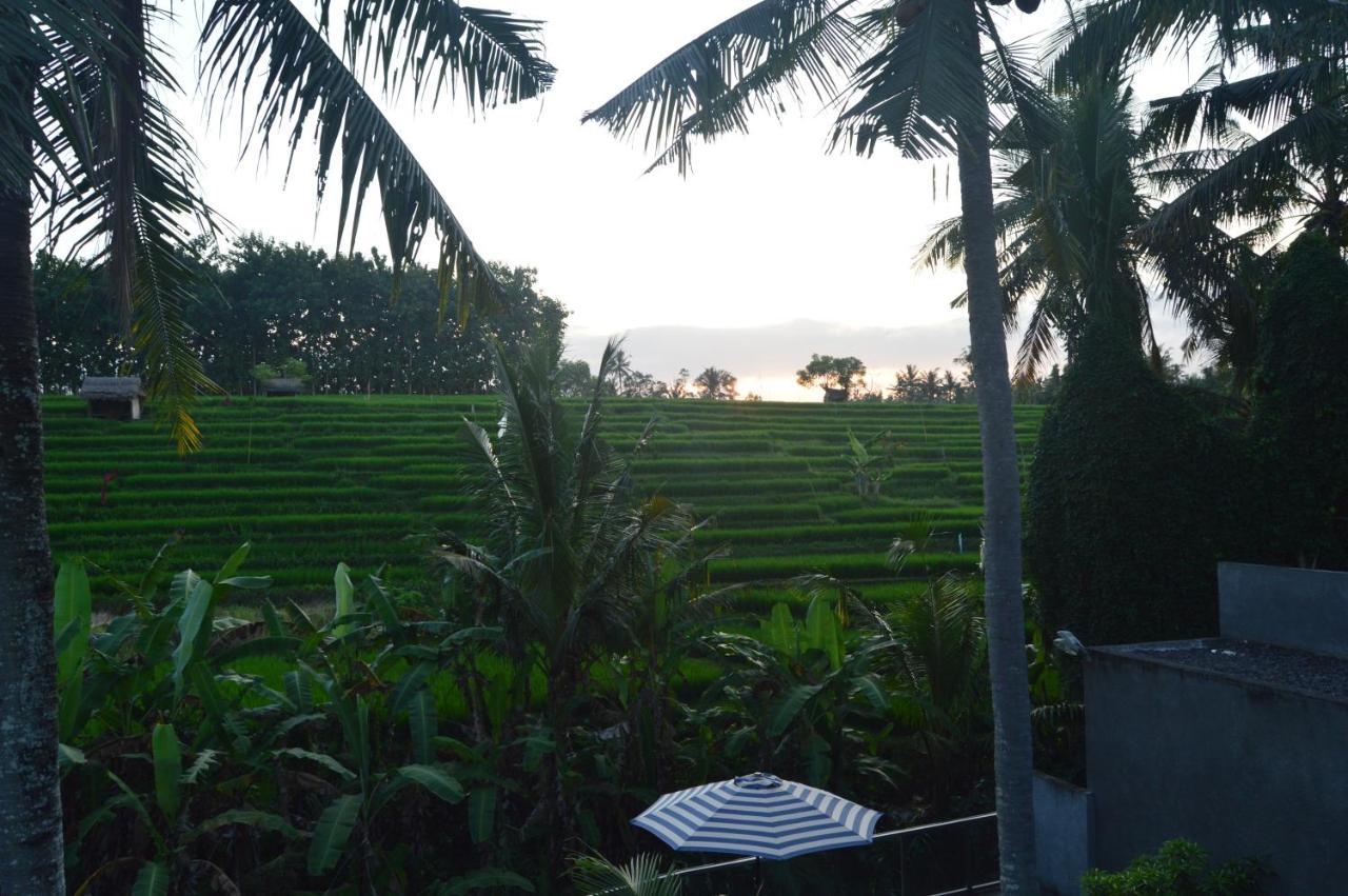 Serenity Private Villa Mas Ubud Exteriör bild